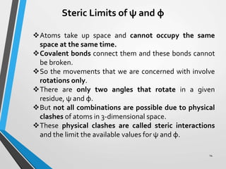 Steric Limits of ψ and φ
Atoms take up space and cannot occupy the same
space at the same time.
Covalent bonds connect them and these bonds cannot
be broken.
So the movements that we are concerned with involve
rotations only.
There are only two angles that rotate in a given
residue, ψ and φ.
But not all combinations are possible due to physical
clashes of atoms in 3-dimensional space.
These physical clashes are called steric interactions
and the limit the available values for ψ and φ.
14
 