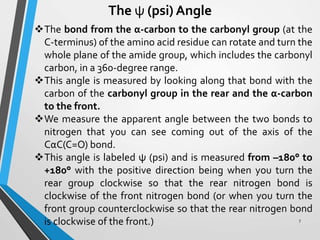 The ψ (psi) Angle
The bond from the α-carbon to the carbonyl group (at the
C-terminus) of the amino acid residue can rotate and turn the
whole plane of the amide group, which includes the carbonyl
carbon, in a 360-degree range.
This angle is measured by looking along that bond with the
carbon of the carbonyl group in the rear and the α-carbon
to the front.
We measure the apparent angle between the two bonds to
nitrogen that you can see coming out of the axis of the
CαC(C=O) bond.
This angle is labeled ψ (psi) and is measured from –180° to
+180° with the positive direction being when you turn the
rear group clockwise so that the rear nitrogen bond is
clockwise of the front nitrogen bond (or when you turn the
front group counterclockwise so that the rear nitrogen bond
is clockwise of the front.) 7
 