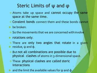 Steric Limits of ψ and φ
 Atoms take up space and cannot occupy the same
space at the same time.
 Covalent bonds connect them and these bonds cannot
 be broken.
 So the movements that we are concerned withinvolve
 rotations only.
 There are only two angles that rotate in a given
 residue, ψ and φ.
 But not all combinations are possible due to
physical clashes of atoms in 3-dimensional space.
 These physical clashes are called steric
interactions
 and the limit the available values for ψ and φ.
14
 