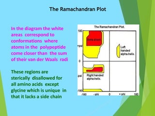 The Ramachandran Plot
In the diagram the white
areas correspond to
conformations where
atoms in the polypeptide
come closer than the sum
of their van der Waals radi
These regions are
sterically disallowed for
all amino acids except
glycine which is unique in
that it lacks a side chain
 