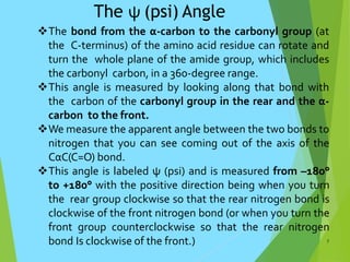 The ψ (psi) Angle
The bond from the α-carbon to the carbonyl group (at
the C-terminus) of the amino acid residue can rotate and
turn the whole plane of the amide group, which includes
the carbonyl carbon, in a 360-degree range.
This angle is measured by looking along that bond with
the carbon of the carbonyl group in the rear and the α-
carbon to the front.
We measure the apparent angle between the two bonds to
nitrogen that you can see coming out of the axis of the
CαC(C=O) bond.
This angle is labeled ψ (psi) and is measured from –180°
to +180° with the positive direction being when you turn
the rear group clockwise so that the rear nitrogen bond is
clockwise of the front nitrogen bond (or when you turn the
front group counterclockwise so that the rear nitrogen
bond Is clockwise of the front.) 7
 