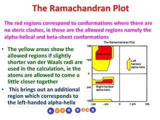 The Ramachandran Plot
• The yellow areas show the
allowed regions if slightly
shorter van der Waals radi are
used in the calculation, ie the
atoms are allowed to come a
little closer together
• This brings out an additional
region which corresponds to
the left-handed alpha-helix
The red regions correspond to conformations where there are
no steric clashes, ie these are the allowed regions namely the
alpha-helical and beta-sheet conformations
 