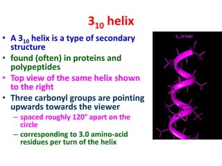 310 helix
• A 310 helix is a type of secondary
structure
• found (often) in proteins and
polypeptides
• Top view of the same helix shown
to the right
• Three carbonyl groups are pointing
upwards towards the viewer
– spaced roughly 120° apart on the
circle
– corresponding to 3.0 amino-acid
residues per turn of the helix
 