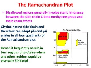 The Ramachandran Plot
• Disallowed regions generally involve steric hindrance
between the side chain C-beta methylene group and
main chain atoms
Glycine has no side chain and
therefore can adopt phi and psi
angles in all four quadrants of
the Ramachandran plot
Hence it frequently occurs in
turn regions of proteins where
any other residue would be
sterically hindered
 