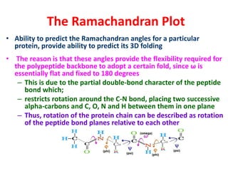 The Ramachandran Plot
• Ability to predict the Ramachandran angles for a particular
protein, provide ability to predict its 3D folding
• The reason is that these angles provide the flexibility required for
the polypeptide backbone to adopt a certain fold, since ω is
essentially flat and fixed to 180 degrees
– This is due to the partial double-bond character of the peptide
bond which;
– restricts rotation around the C-N bond, placing two successive
alpha-carbons and C, O, N and H between them in one plane
– Thus, rotation of the protein chain can be described as rotation
of the peptide bond planes relative to each other
 