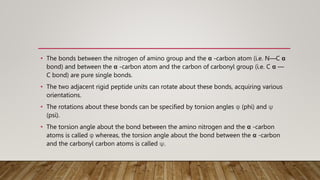 • The bonds between the nitrogen of amino group and the α -carbon atom (i.e. N—C α
bond) and between the α -carbon atom and the carbon of carbonyl group (i.e. C α —
C bond) are pure single bonds.
• The two adjacent rigid peptide units can rotate about these bonds, acquiring various
orientations.
• The rotations about these bonds can be specified by torsion angles φ (phi) and ψ
(psi).
• The torsion angle about the bond between the amino nitrogen and the α -carbon
atoms is called φ whereas, the torsion angle about the bond between the α -carbon
and the carbonyl carbon atoms is called ψ.
 
