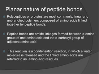 Planar nature of peptide bonds
 Polypeptides or proteins are most commonly, linear and
unbranched polymers composed of amino acids linked
together by peptide bonds.
 Peptide bonds are amide linkages formed between α-amino
group of one amino acid and the α-carboxyl group of
adjacent amino acid.
 This reaction is a condensation reaction, in which a water
molecule is released and the linked amino acids are
referred to as amino acid residues.
 
