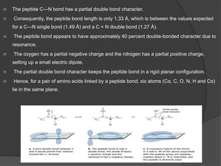  The peptide C—N bond has a partial double bond character.
 Consequently, the peptide bond length is only 1.33 Å, which is between the values expected
for a C—N single bond (1.49 Å) and a C = N double bond (1.27 Å).
 The peptide bond appears to have approximately 40 percent double-bonded character due to
resonance.
 The oxygen has a partial negative charge and the nitrogen has a partial positive charge,
setting up a small electric dipole.
 The partial double bond character keeps the peptide bond in a rigid planar configuration.
 Hence, for a pair of amino acids linked by a peptide bond, six atoms (Cα, C, O, N, H and Cα)
lie in the same plane.
 
