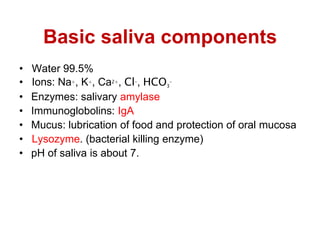 Basic saliva components
• Water 99.5%
• Ions: Na+, K+, Ca2+, Cl–, HCO3
–
• Enzymes: salivary amylase
• Immunoglobolins: IgA
• Mucus: lubrication of food and protection of oral mucosa
• Lysozyme. (bacterial killing enzyme)
• pH of saliva is about 7.
 