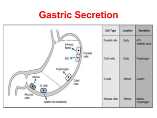 Gastric Secretion
 