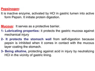 Pepsinogen:
It is inactive enzyme, activated by HCl in gastric lumen into active
form Pepsin. It initiate protein digestion.
Mucous: It serves as a protective barrier.
1- Lubricating properties: it protects the gastric mucosa against
mechanical injury
2- It protects the stomach wall from self-digestion because
pepsin is inhibited when it comes in contact with the mucous
layer coating the stomach.
3- Being alkaline, protecting against acid in injury by neutralizing
HCI in the vicinity of gastric lining.
 