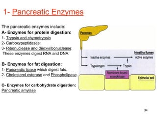 34
1- Pancreatic Enzymes
The pancreatic enzymes include:
A- Enzymes for protein digestion:
1- Trypsin and chymotrypsin
2- Carboxypeptidases:
3- Ribonuclease and deoxyribonuclease:
These enzymes digest RNA and DNA.
B- Enzymes for fat digestion:
1- Pancreatic lipase which digest fats.
2- Cholesterol esterase and Phospholipase.
C- Enzymes for carbohydrate digestion:
Pancreatic amylase
 