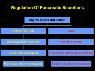 38
Regulation Of Pancreatic Secretions
Pancreatic enzymes released
Acinar cells stimulated
Cholecystokinin secreted
Protein/Fat/Carb
Sodium bicarbonate released
Duct cells in pancreas stimulated
Secretin secreted
Acid
Chyme Enters Duodenum
 