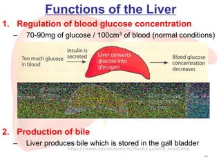 42
Functions of the Liver
1. Regulation of blood glucose concentration
– 70-90mg of glucose / 100cm3 of blood (normal conditions)
2. Production of bile
– Liver produces bile which is stored in the gall bladder
 