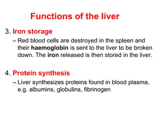 Functions of the liver
3. Iron storage
– Red blood cells are destroyed in the spleen and
their haemoglobin is sent to the liver to be broken
down. The iron released is then stored in the liver.
4. Protein synthesis
– Liver synthesizes proteins found in blood plasma,
e.g. albumins, globulins, fibrinogen
 