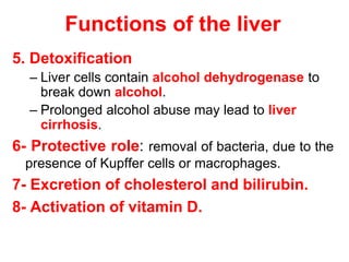 Functions of the liver
5. Detoxification
– Liver cells contain alcohol dehydrogenase to
break down alcohol.
– Prolonged alcohol abuse may lead to liver
cirrhosis.
6- Protective role: removal of bacteria, due to the
presence of Kupffer cells or macrophages.
7- Excretion of cholesterol and bilirubin.
8- Activation of vitamin D.
 