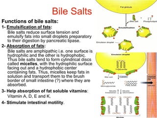 45
Bile Salts
Functions of bile salts:
1- Emulsification of fats:
Bile salts reduce surface tension and
emulsify fats into small droplets preparatory
to their digestion by pancreatic lipase.
2- Absorption of fats:
Bile salts are amphipathic i.e. one surface is
hydrophilic and the other is hydrophobic.
Thus bile salts tend to form cylindrical discs
called micelles, with the hydrophilic surface
facing out and a hydrophobic center
containing fats. Thus, micelles keep fats in
solution and transport them to the brush
border of small intestine (?) where they are
absorbed.
3- Help absorption of fat soluble vitamins:
Vitamin A, D, E and K.
4- Stimulate intestinal motility.
 
