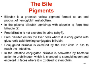 46
The Bile
Pigments
• Bilirubin is a greenish yellow pigment formed as an end
product of hemoglobin metabolism.
• In the plasma bilirubin combines with albumin to form free
bilirubin (?).
• Free bilirubin is not excreted in urine (why?).
• Free bilirubin enters the liver cells where it is conjugated with
glucuronic acid forming conjugated bilirubin.
• Conjugated bilirubin is excreted by the liver cells in bile to
reach the intestine.
• In the intestine conjugated bilirubin is converted by bacterial
action to urobilinogen which is changed to stercobilinogen and
excreted in feces where it is oxidized to stercobilin.
 