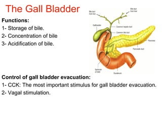 The Gall Bladder
Functions:
1- Storage of bile.
2- Concentration of bile
3- Acidification of bile.
Control of gall bladder evacuation:
1- CCK: The most important stimulus for gall bladder evacuation.
2- Vagal stimulation.
 