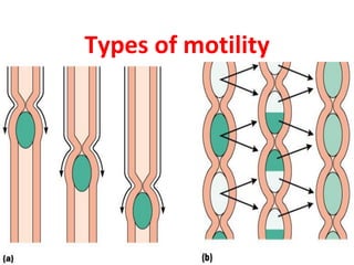Types of motility
 