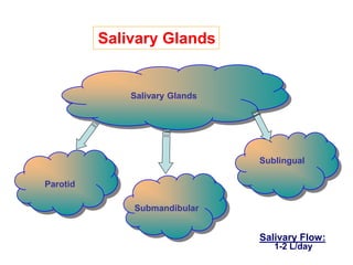 Salivary Glands
Sublingual
Parotid
Submandibular
Salivary Glands
Salivary Flow:
1-2 L/day
 