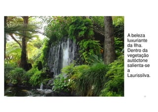 A beleza
luxuriante
da Ilha.
Dentro da
vegetação
autóctone
salienta-se
a
Laurissilva.

13

 