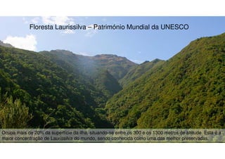 Floresta Laurissilva – Património Mundial da UNESCO

Ocupa mais de 20% da superfície da ilha, situando-se entre os 300 e os 1300 metros de altitude. Esta é a
14
maior concentração de Laurissilva do mundo, sendo conhecida como uma das melhor preservadas.

 