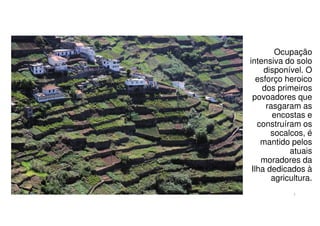 Ocupação
intensiva do solo
disponível. O
esforço heroico
dos primeiros
povoadores que
rasgaram as
encostas e
construíram os
socalcos, é
mantido pelos
atuais
moradores da
Ilha dedicados à
agricultura.
7

 