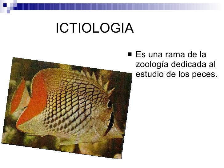 Rama de la biología!