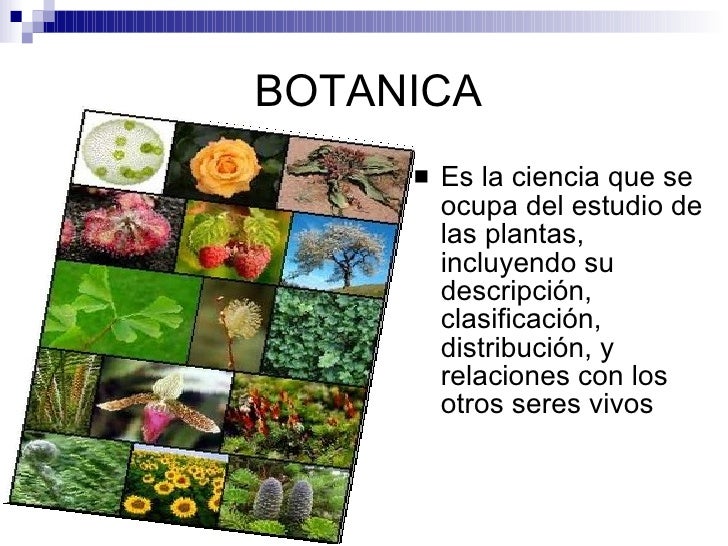 Rama De La BiologíA!