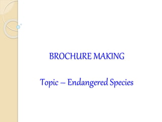 BROCHURE MAKING
Topic – Endangered Species