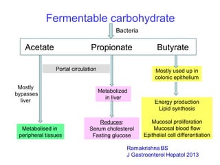 Fermentable carbohydrate
Acetate Propionate Butyrate
Mostly used up in
colonic epithelium
Energy production
Lipid synthesis
Mucosal proliferation
Mucosal blood flow
Epithelial cell differentiation
Portal circulation
Metabolized
in liver
Reduces:
Serum cholesterol
Fasting glucose
Mostly
bypasses
liver
Metabolised in
peripheral tissues
Bacteria
 