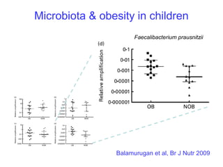 Balamurugan et al, Br J Nutr 2009
Microbiota & obesity in children
Faecalibacterium prausnitzii
 