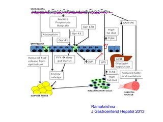 Ramakrishna
J Gastroenterol Hepatol 2013
 