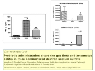 Lactobacillus acidophilus group
Control DSS Probiotic
0.000000
0.000002
0.000004
0.000006
0.000008
0.000010
0.000012
*
@
Relativedifference
Bifidobacterium species
Control DSS Probiotic
0.0000
0.0005
0.0010
0.0015
0.0020
0.0025
*
**,@
Relativedifference
CONTROL DSS PROBIOTIC
0
250
500
750
1000
1250
*
**
TNF-αpg/ml
 