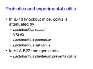 Probiotics and experimental colitis
• In IL-10 knockout mice, colitis is
attenuated by
– Lactobacillus reuteri
– VSL#3
– Lactobacillus plantarum
– Lactobacillus salivarius
• In HLA B27 transgenic rats
– Lactobacillus plantarum prevents colitis
 