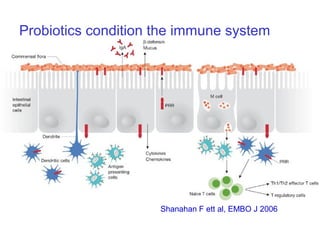 Probiotics condition the immune system
Shanahan F ett al, EMBO J 2006
 