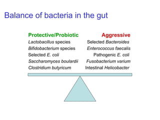 Balance of bacteria in the gut
Protective/Probiotic
Lactobacillus species
Bifidobacterium species
Selected E. coli
Saccharomyces boulardii
Clostridium butyricum
Aggressive
Selected Bacteroides
Enterococcus faecalis
Pathogenic E. coli
Fusobacterium varium
Intestinal Helicobacter
 
