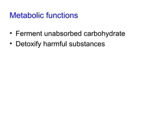 Metabolic functions
• Ferment unabsorbed carbohydrate
• Detoxify harmful substances
 