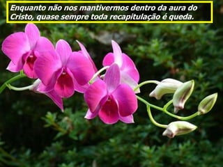 Enquanto não nos mantivermos dentro da aura do
Cristo, quase sempre toda recapitulação é queda.
 