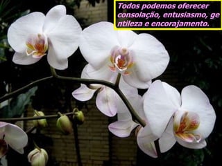 Todos podemos oferecer
consolação, entusiasmo, ge
ntileza e encorajamento.
 