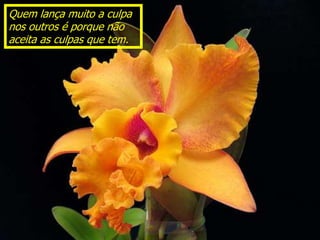 Quem lança muito a culpa
nos outros é porque não
aceita as culpas que tem.
 