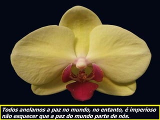Todos anelamos a paz no mundo, no entanto, é imperioso
não esquecer que a paz do mundo parte de nós.
 