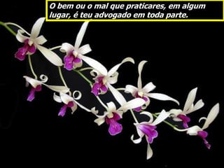 O bem ou o mal que praticares, em algum
lugar, é teu advogado em toda parte.
 