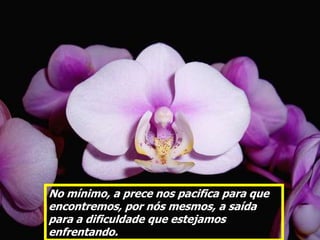 No mínimo, a prece nos pacifica para que
encontremos, por nós mesmos, a saída
para a dificuldade que estejamos
enfrentando.
 