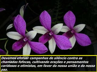 Devemos efetuar campanhas de silêncio contra as
chamadas fofocas, cultivando orações e pensamentos
caridosos e otimistas, em favor da nossa união e da nossa
paz.
 