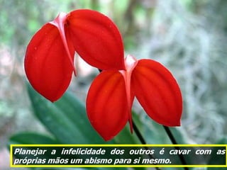 Planejar a infelicidade dos outros é cavar com as
próprias mãos um abismo para si mesmo.
 