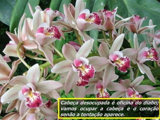 Cabeça desocupada é oficina do diabo;
vamos ocupar a cabeça e o coração
   z.
senão a tentação aparece.
 