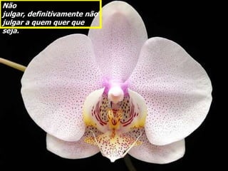 Não
julgar, definitivamente não
julgar a quem quer que
seja.
 
