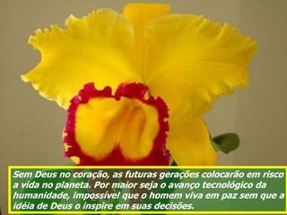 Sem Deus no coração, as futuras gerações colocarão em risco
a vida no planeta. Por maior seja o avanço tecnológico da
humanidade, impossível que o homem viva em paz sem que a
idéia de Deus o inspire em suas decisões.
 